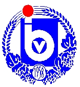IBV e.V.